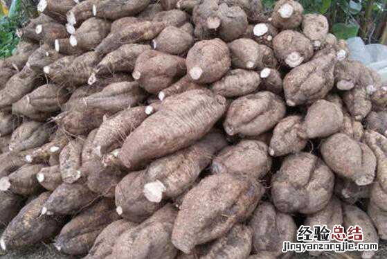 粉葛的功效与作用及食用禁忌有哪些 粉葛的功效与作用及食用禁忌有哪些呢