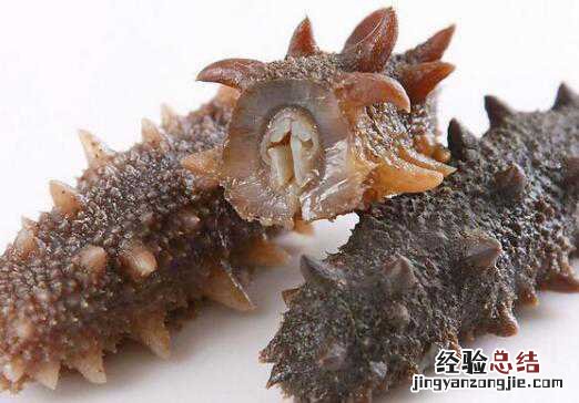 海参和什么不能一起吃，海参与什么食物相克