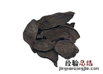 何首乌 何首乌怎样用使白发变黑发