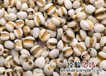 薏米红豆祛湿正确吃法 薏米