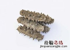 海参的功效与作用及禁忌人群 海参