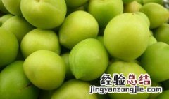 梅子是什么季节结果实? 梅子是什么季节结果实