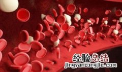 新陈代谢什么意思? 新陈代谢什么意思