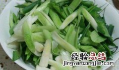 什么季节适合种蒜苗 什么季节适合种蒜苗种子