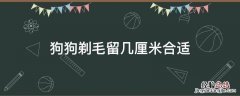 狗狗剃毛留几厘米合适 狗狗剃毛留多少毫米合适