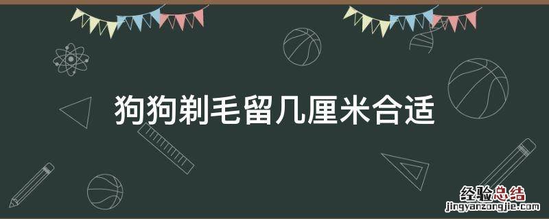 狗狗剃毛留几厘米合适 狗狗剃毛留多少毫米合适