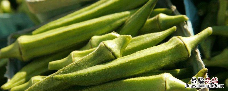 黄秋葵用什么肥料 黄秋葵要打农药吗