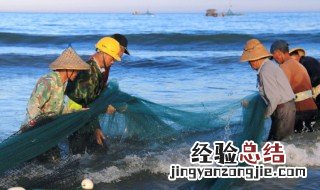 草鱼肝脏怎么吃最好 草鱼肝脏怎么吃