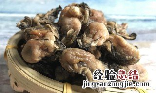 蚝豉怎么吃最好 蚝豉怎么选