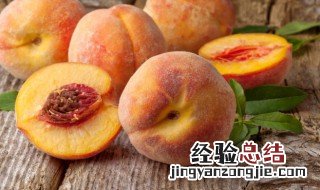 蟠桃是哪里的 蟠桃的简介