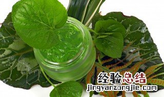 芦荟可以天天敷脸吗 芦荟可以天天敷脸吗女生
