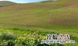 中国是春天时美国是什么季节 中国是春天美国是什么季节