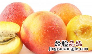 普通桃子能做罐头吗 做桃子罐头用什么桃子