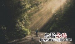 以什么的阳光作文 什么的阳光