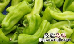 青椒肉丝家常做法大全 青椒肉丝家常做法
