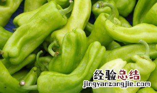 青椒肉丝家常做法大全 青椒肉丝家常做法