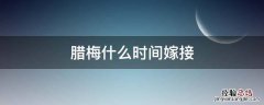 腊梅什么时间嫁接 腊梅5月份可嫁接吗