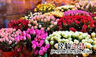 室内养花与风水 爱花之人必知的室内养花风水禁忌
