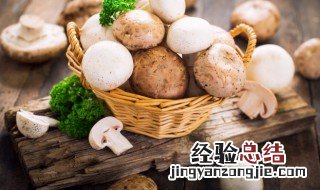野生菌怎么长期保鲜储存 鲜食用菌如何长时间保存方法