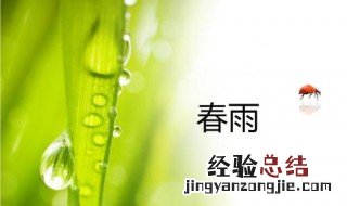 什么的春雨 什么的春雨断了线的珠子