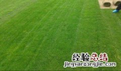 什么的草坪 量词什么的草坪