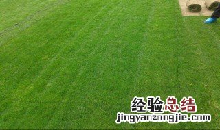 什么的草坪 量词什么的草坪