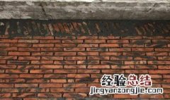 砂浆砌墙需要浇水养护吗为什么 砂浆砌墙需要浇水养护吗