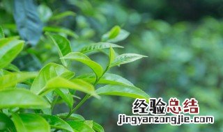 播种什么季节播种的最多 播种什么季节播种的