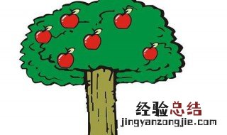 老大爷种苹果树这篇短文讲了什么 老大爷种苹果懂得了什么道理