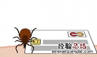 蜱虫为什么能咬死人 蜱虫为什么能咬死人的脚