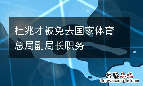 杜兆才被免去国家体育总局副局长职务