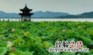 水光潋滟晴方好是什么意思 水光潋滟晴方好是什么意思?