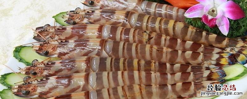 赤米虾是哪里产的 赤米虾是什么虾