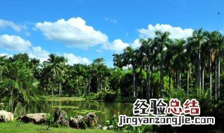 东南亚的热带雨林气候主要分布在哪里 东南亚有什么特点