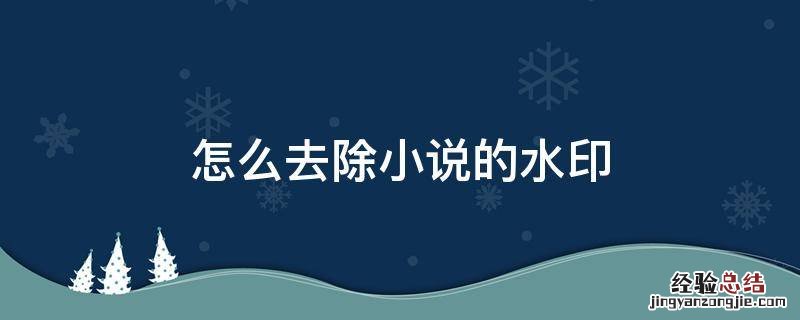 怎么去除小说的水印 怎么把书上的水印怎么去掉
