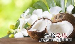 椰子里的白肉怎么吃最好 椰子里的白肉怎么吃