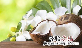椰子里的白肉怎么吃最好 椰子里的白肉怎么吃