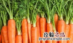 胡萝卜泡菜的腌制方法 萝卜泡菜怎么腌