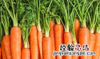胡萝卜泡菜的腌制方法 萝卜泡菜怎么腌