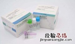 核酸是通过什么检测的