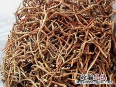 鱼腥草煮水的功效与作用 鱼腥草