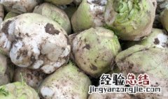 芥菜头的腌制方法 芥菜头的腌制方法大全