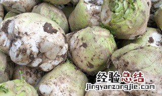 芥菜头的腌制方法 芥菜头的腌制方法大全