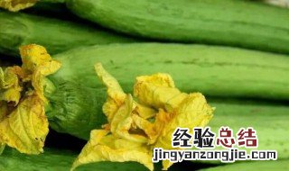 丝瓜和胡萝卜能一起吃吗早餐 丝瓜和胡萝卜能一起吃吗