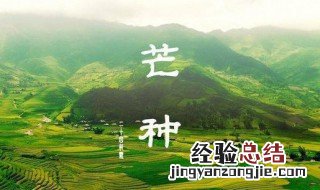 芒种歌曲歌词表达什么 芒种歌曲表达什么情感