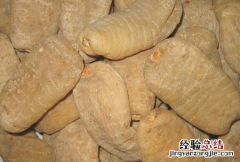 天麻的功效与作用 天麻