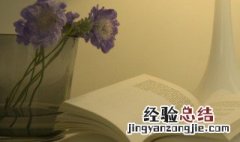 关于秋雨的古诗 关于秋雨的古诗10首