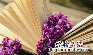 关于树的诗句 关于树的诗