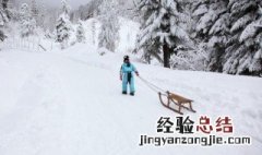 关于咏雪的诗 关于咏雪的诗词十首