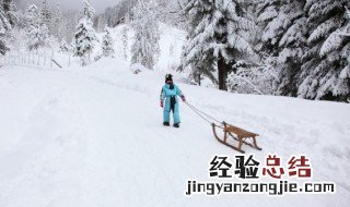 关于咏雪的诗 关于咏雪的诗词十首